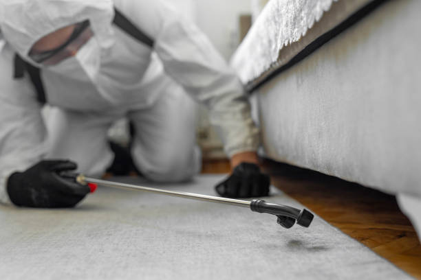 Professional Bed Bug Control technician working in Dalton, GA