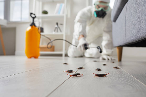 Trusted Fumigation Services service in Dalton, GA - Nex Pest Control