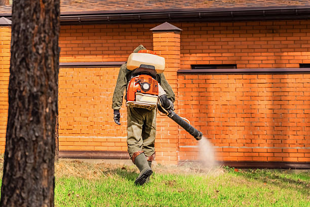 Trusted Mosquito Control service in Dalton, GA - Nex Pest Control